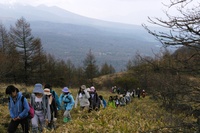 hiking 2014.JPG