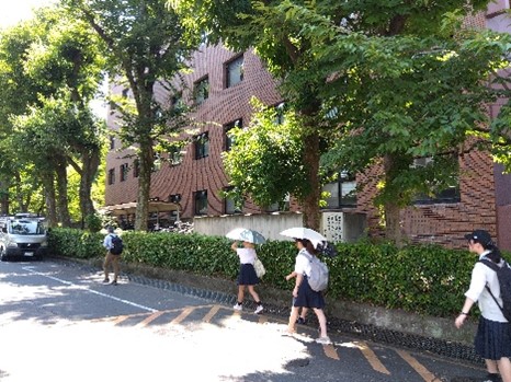 iijima1