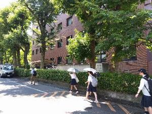 iijima1
