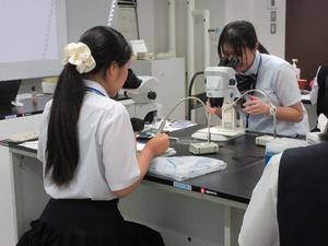 kaneko2